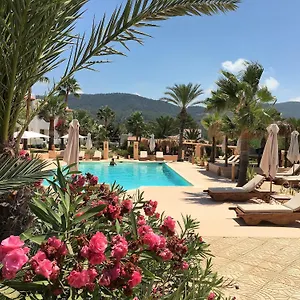 Petunia Ibiza San José